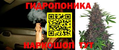 кристаллы Лесосибирск