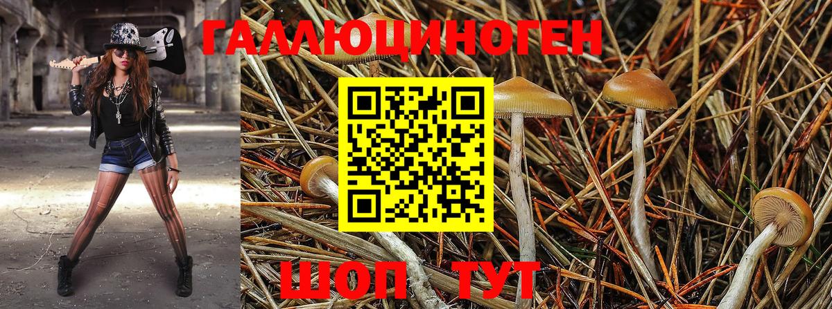 Галлюциногенные грибы MAGIC MUSHROOMS Волгодонск